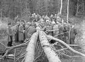 Kurs i skogsvård i Norrbyås, 1930-tal