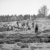 Skogsplantering vid Karlstorp, 1930-tal