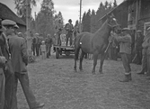 Auktion i Norrbyås, 1940-tal