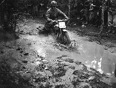 Motorcykeltävling i skogarna kring Norrbyås, 1950-tal