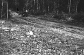 Motorcykeltävling i skogarna kring Norrbyås, 1950-tal