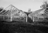 Rävfarm, 1930-08-03