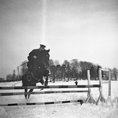 Ryttartävling i Karlsdal, 1940-tal