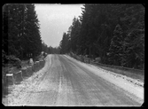 Vägen vid Svinskogen. Landsfiskalen i Kolbäcks distrikt.
Ur Gustaf Åhmans samling.