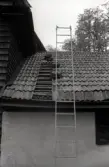 Spåntaket på Pelarne kyrka frilagt på sakristians tak.

Foto: B-M Hammarskiöld 1976-08-26