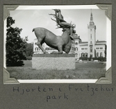 Hjorten i slottet Fritzöehus park i Norge, sommaren 1935