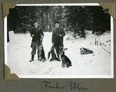 Jägare med hund och skjutna rävar på Bystad, 1939