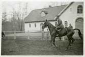 Häst i galopp på Bystad, 1940