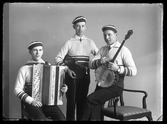 Grupporträtt, Öhmans trio.
Ur Gustaf Åhmans samling.