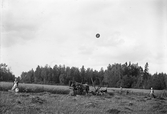 Havreskärning med avläggare, 1930-tal