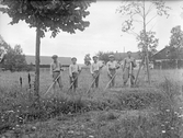 Skördearbete i Stortorp, 1930-tal