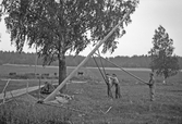 Resning av stolpe för elledning i Norrbyås, 1930-tal