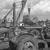 Traktorutställning på lantbruksmässan i Norrköping, 1942