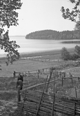 Vy vid Hjälmaren, 1930-tal