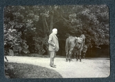 Man med hästar i parken på Brevens bruk, 1912