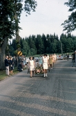 Kransar till midsommarstång bärs fram, ca 1967