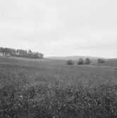 Borlänge, Dalsjö, Stora Tuna sn.