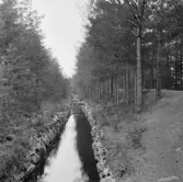 Falun, nya Krondiket 1914.