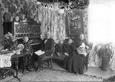 Familj i ett vardagsrum, okänd plats i Hallaryd, 1906.