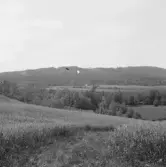 Borlänge, Nisstäkt.