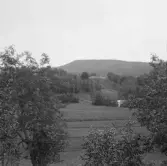 Borlänge, Nisstäkt.