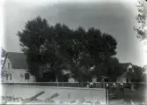 Bild 576. Byggningän bäi Arvid Olsson Bjärgäs