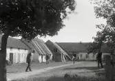 Bild 832. Hans Karlssons Halsrä, gamblä gardn me pärkspelrar