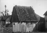 Bild 844. Thoeodor Thomssons Halsrä, smahäusi de gamblä