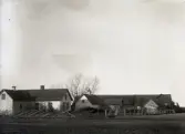 Bild 862. Ferdinand Jakobssons Halsrä, gardn bakifran