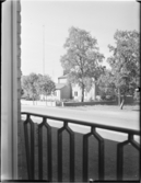 MARKBILDER FÖR PARKANLÄGGNING