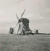 Stubbkvarnar i Sandby på Öland.