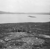 Idre, Slugufjäll. Renhjord spridd på stranden.