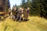 Älgen bärgas i Asker, 1971