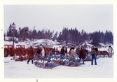 Jordbruksredskap vid auktion på Nynäs slott, 1972