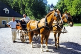 Hästekipage på gårdplanen på Bystad, 1991