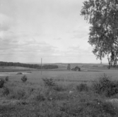 Borlänge, Torsång, Sunnanö från Dalvik, 1921-1926.