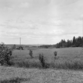 Borlänge, Torsång, från Dalvik, gård i Långlandet, 1921-1926.