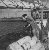 Fiskare med nät tidigt 1930-tal, Varbergs hamn. Fotograf är V Lundgren från Härnösand.