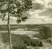 Uysikt över mellersta Sveriges skogs- och slättbygd, 1945