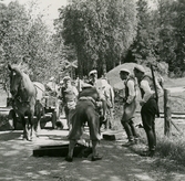 Skogisstudenter med häst och vagn, 1946