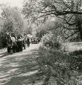 Skogisstudenter med häst och vagn följs av bil, 1946