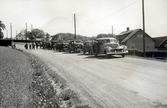 Skogiselever gör halt vid Hovs hallar på sin sommarresa, 1947