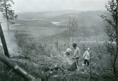 Skogiselever förbereder för hyggesbränning, 1947