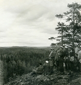 Skogiseleverna blickar ut över norrländska skogar, 1947