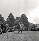 Lantbruksmötet.
Hästpremiering. En kvinna i ridbyxor m.m. leder runt en häst med föl på skolgården till Växjö Högre Allmänna Läroverk. 
I bakgrunden syns en del av dåv. Växjö lasarett.