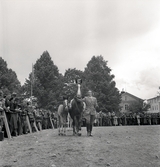 Lantbruksmötet.
Hästpremiering. En kvinna i ridbyxor m.m. leder runt en häst med föl på skolgården till Växjö Högre Allmänna Läroverk. 
I bakgrunden syns en del av dåv. Växjö lasarett.