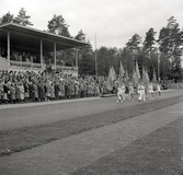 Parad av fanborg framför hedersläktaren på Värendsvallen under Gymnastikens dag.