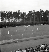 Intåg av gymnaster på Värendsvallen under Gymnastikens dag.