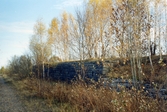 Perrong vid Svartåbanan, 1997