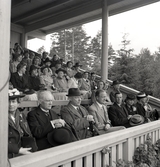 En del av hedersläktaren med inbjudna. Främst till höger syns landshövdingeparet August och Ingegerd Beskow med en okänd, äldre herre mellan sig. Gymnastikens dag.

August Beskow (1882-1946), landshövding i Växjö 1925-1944.
G.m. Ingegerd Beskow, f. Tullberg (1887-1978).